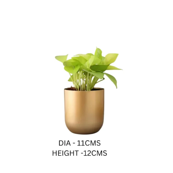 Set of 1 Metal Pot Planter with 1 Solid Metal   |Indoor Planters Stand| Black Pots for Outdoor Garden & Gardening Pots Large Flower Pot & Plant Pot for Balcony (Gold) - Image 3