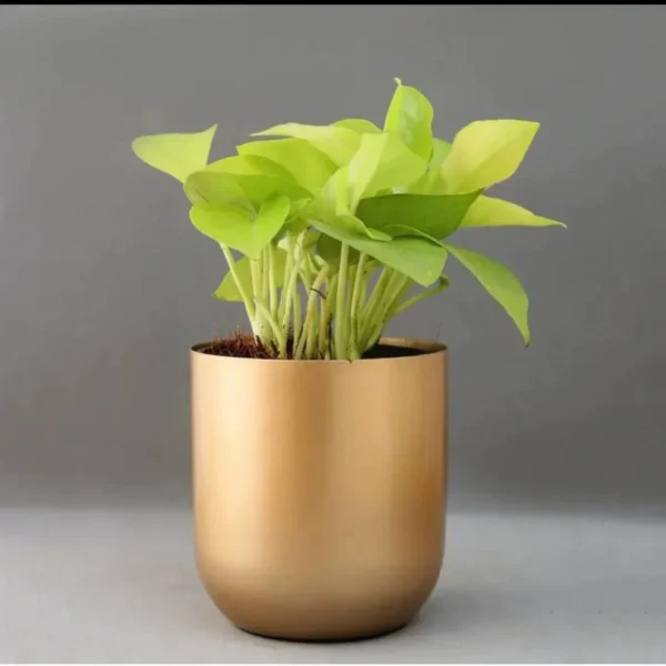 Set of 1 Metal Pot Planter with 1 Solid Metal   |Indoor Planters Stand| Black Pots for Outdoor Garden & Gardening Pots Large Flower Pot & Plant Pot for Balcony (Gold)